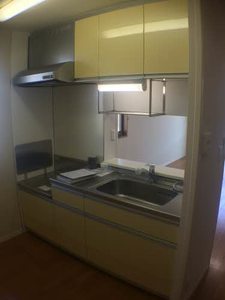 ヴェルドミールツジ 0201号-5