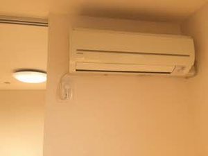 ヴェロニカ A102号-9