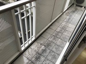 グランコートⅣ 4201号-15