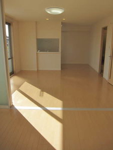 シャーメゾンココア 0202号-2