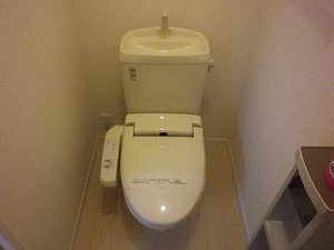 ＯＰＵＳ．Ⅳ 0102号-3