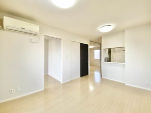 ハックベリー B202号-1