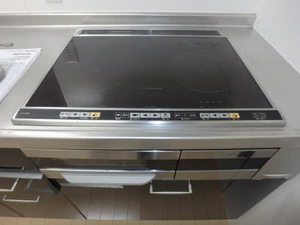 メゾン　プラティーヌ 0107号-15
