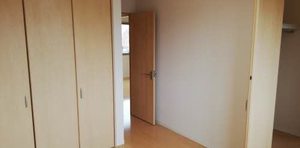 カーサホワイトショコラ 0203号-7