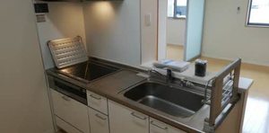 カーサホワイトショコラ 0203号-9