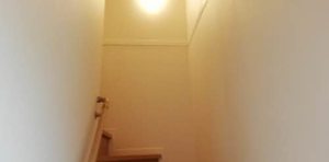 カーサホワイトショコラ 0203号-14