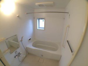 Ｌｅ　ｌｉｓ　しぶみ 0201号-10