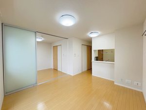 タウンコート大国 0301号-3