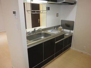 メゾン　ド　ジュモー A101号-5