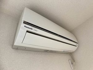 アンジェレガーロ 0205号-15