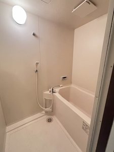 サープラスⅡリネアリス花ノ木 0202号-11