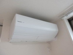 ウィステリア上袋 0101号-13