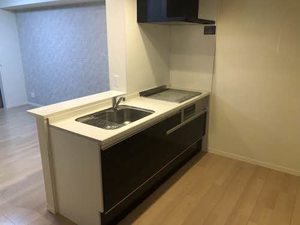 メゾン　デ・ラ　クラルテ 0103号-8