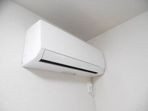 ＣＯＲＴＩＬＥ 0201号-11