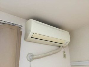 フレグランス乙女 D201号-11