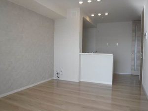 メゾン・ド・プルミエール 0303号-2