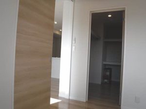 メゾン・ド・プルミエール 0303号-8