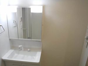 メゾン・ド・プルミエール 0303号-9