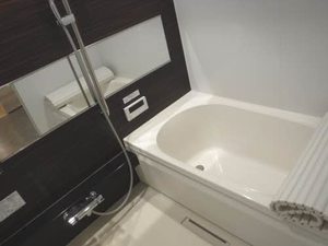 メゾン・ド・プルミエール 0303号-10