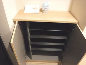 メゾン・ド・プルミエール 0303号-15