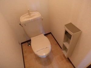 アサナ　アルカディア B206号-14