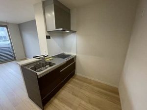 シャーメゾン・レヴィア 0106号-3