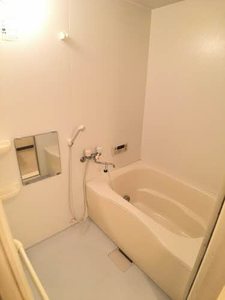 リブロンティ 2B号-6