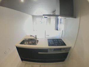 Ｌｅ　Ｖｅｒｇｅｒ 0103号-11