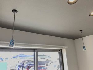 Ｌｅ　Ｖｅｒｇｅｒ 0103号-14