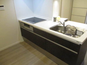 メゾン・ド・長土塀 0303号-5