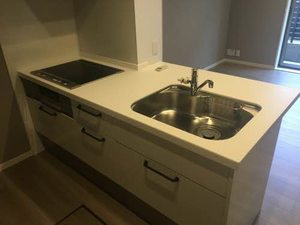 カーサ　デル　ソルⅡ 0105号-5