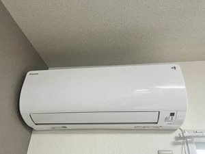 メープルマツモト 0203号-10