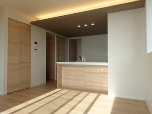 シャーメゾン女池上山 0301号-11