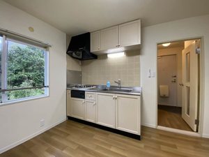 メゾン城ヶ崎 0201号-4