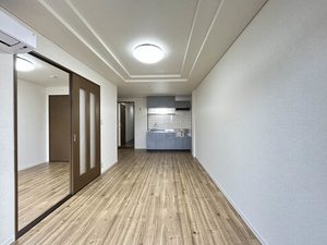 ライフシティールミナス 0203号-2