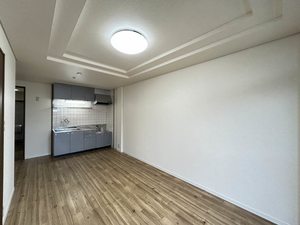 ライフシティールミナス 0203号-4