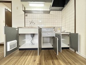 ライフシティールミナス 0203号-6