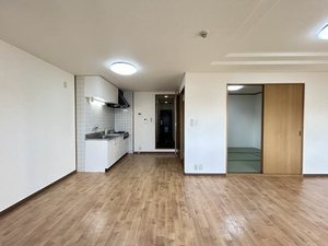 ドリームフェアリー 0202号-2