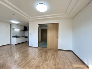 ドリームフェアリー 0202号-3