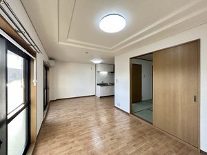 ドリームフェアリー 0202号-4