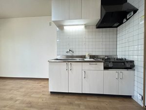 ドリームフェアリー 0202号-5