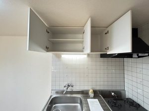 ドリームフェアリー 0202号-7