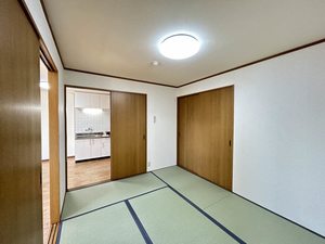 ドリームフェアリー 0202号-8