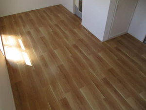 メゾン横砂 0202号-4