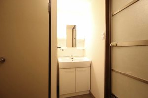 フレグランスオオクラ 0102号-7