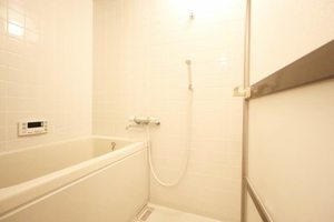 フレグランスオオクラ 0102号-8