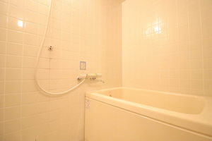 フレグランスオオクラ 0201号-8