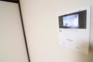 フレグランスオオクラ 0201号-13