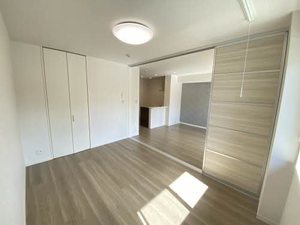 ルピナス　ファースト 0103号-3