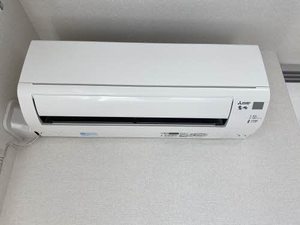 ルピナス　ファースト 0103号-10